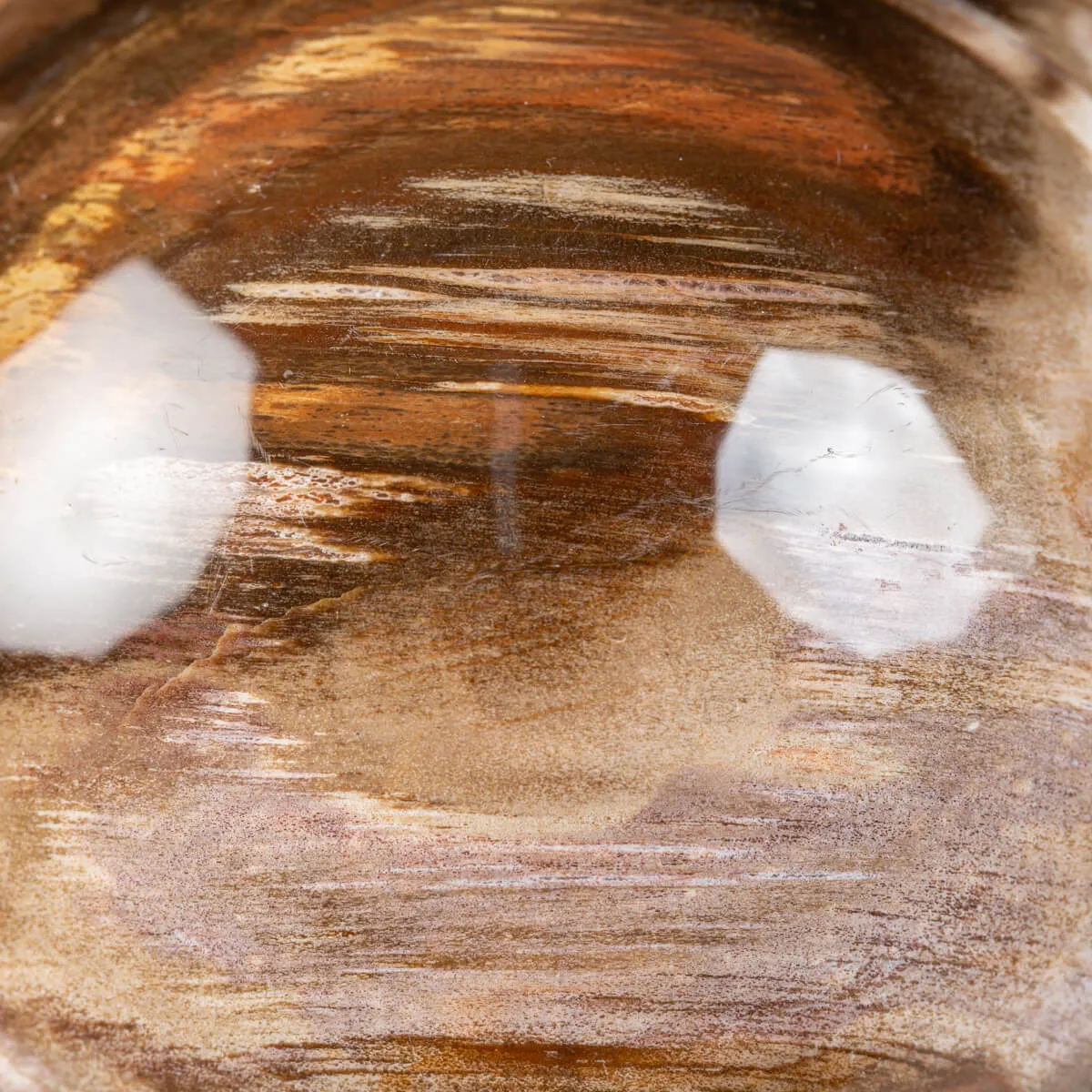 Sfera di Legno Pietrificato