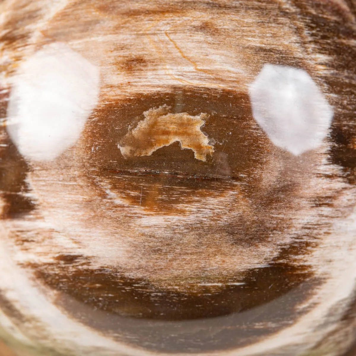 Sfera di Legno Pietrificato