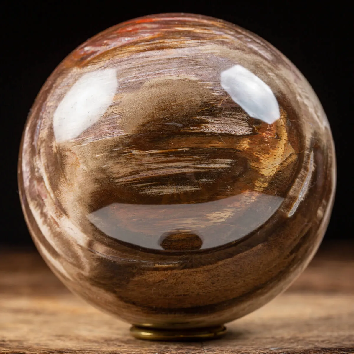 Sfera di Legno Pietrificato