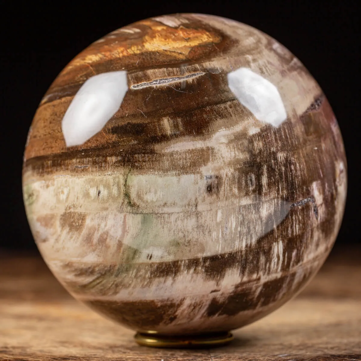 Sfera di Legno Pietrificato