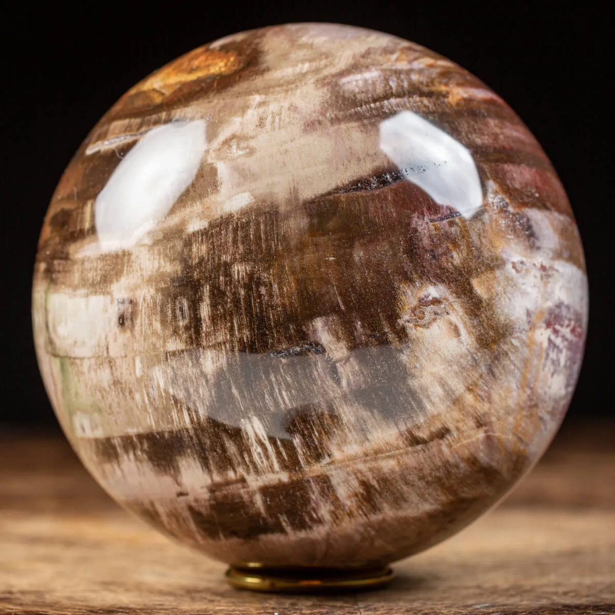 Sfera di Legno Pietrificato