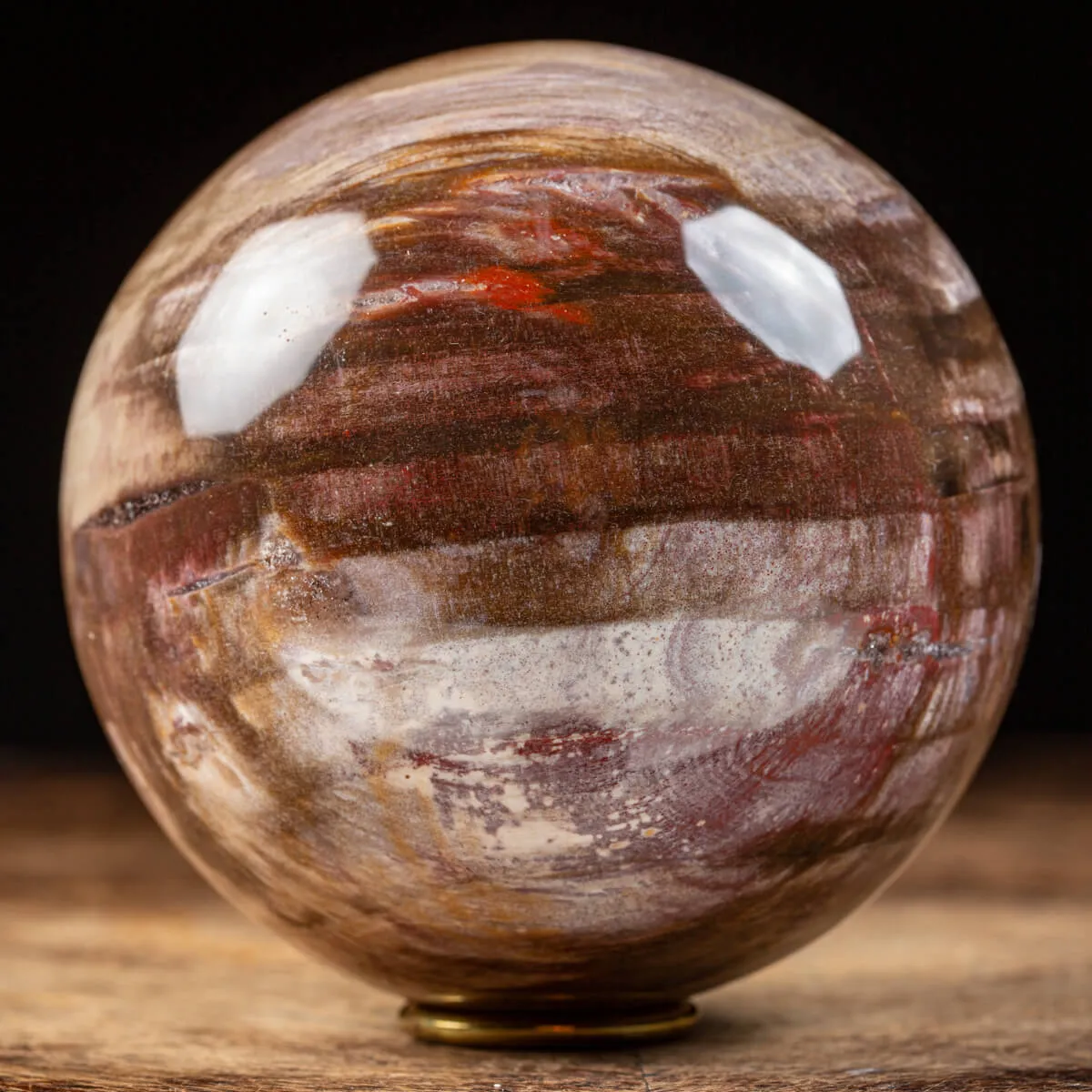 Sfera di Legno Pietrificato