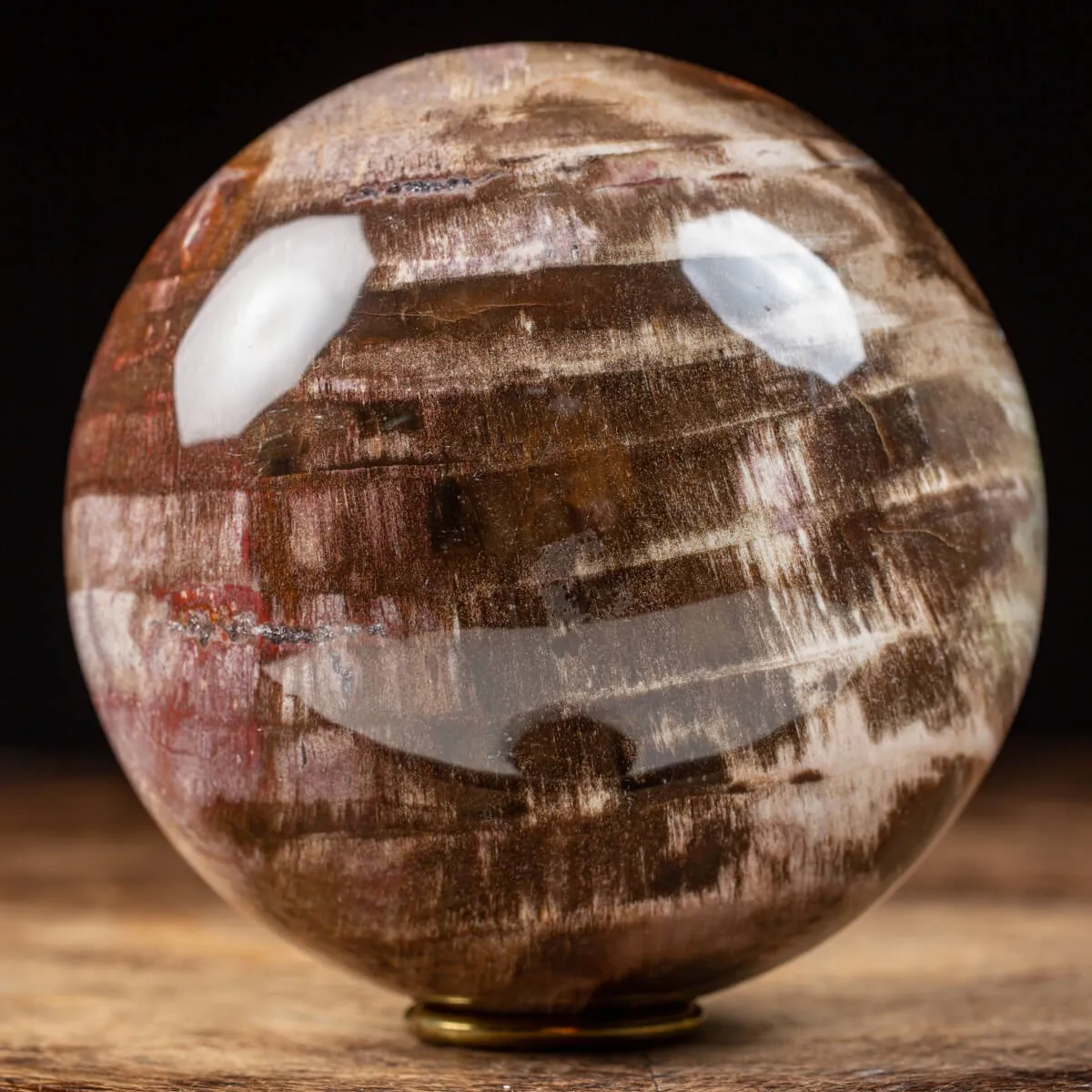 Sfera di Legno Pietrificato