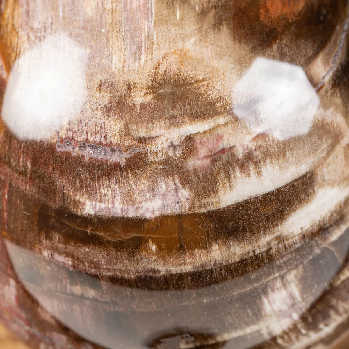 Sfera di Legno Pietrificato