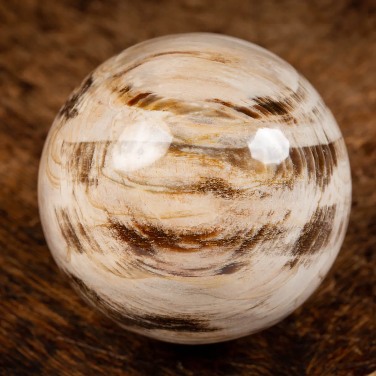 Sfera di Legno Pietrificato