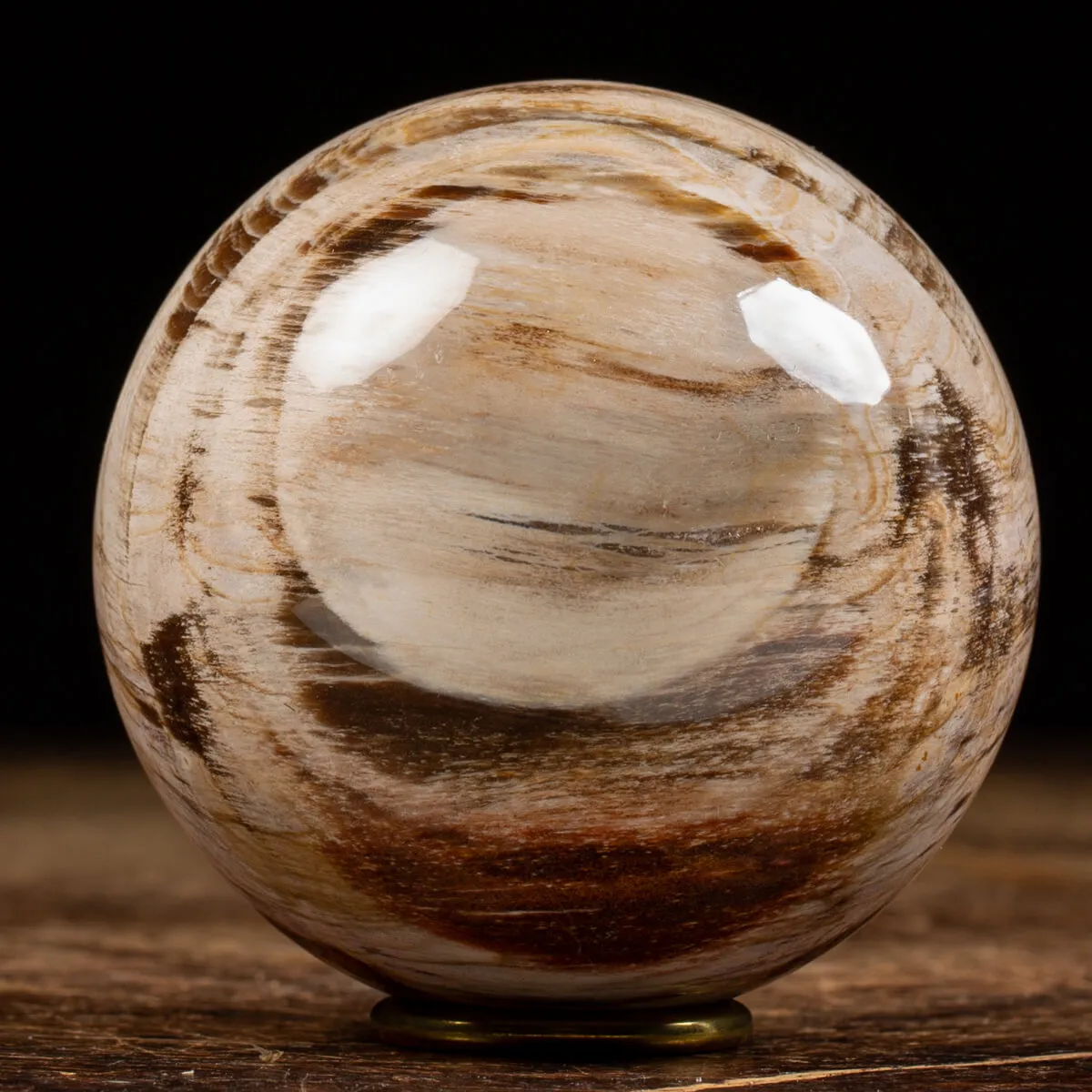 Sfera di Legno Pietrificato