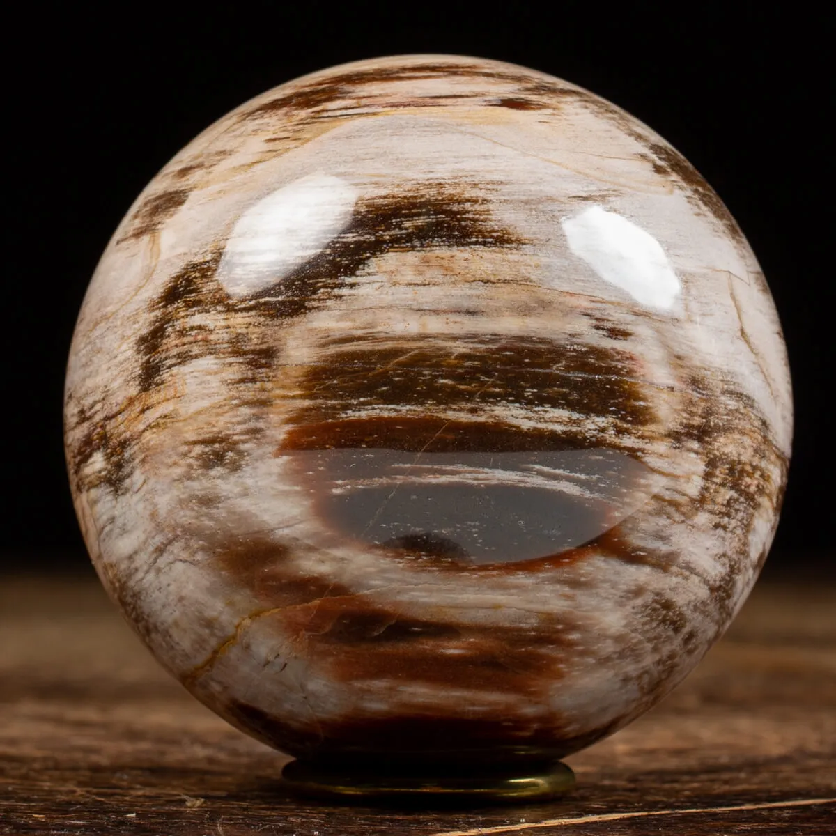 Sfera di Legno Pietrificato
