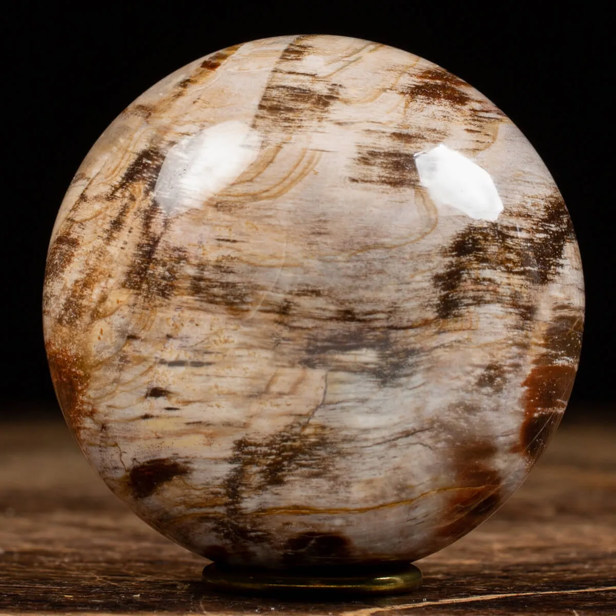 Sfera di Legno Pietrificato