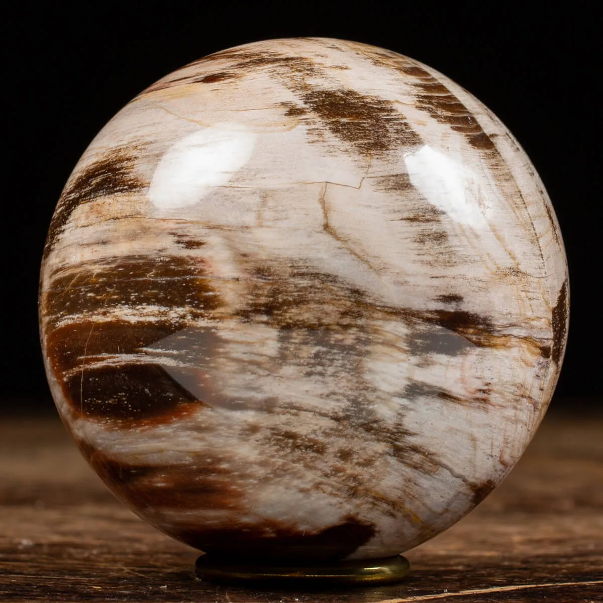 Sfera di Legno Pietrificato