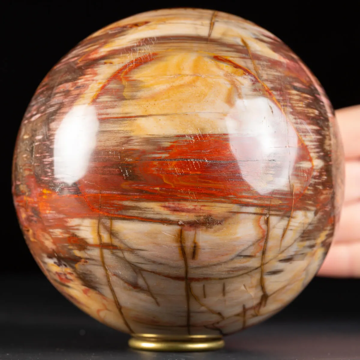 Sfera di Legno Pietrificato