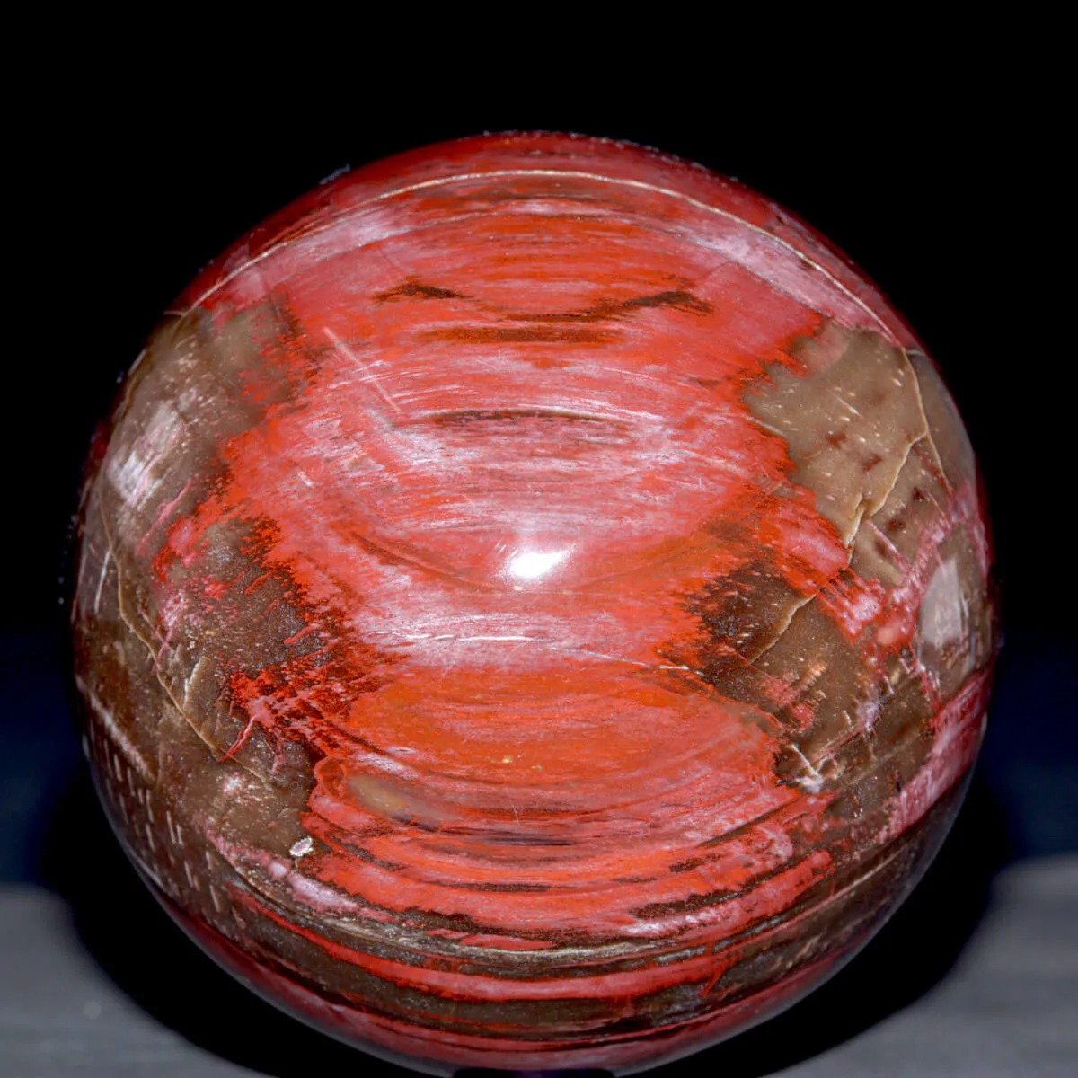 Sfera di Legno Fossile del Madagascar.