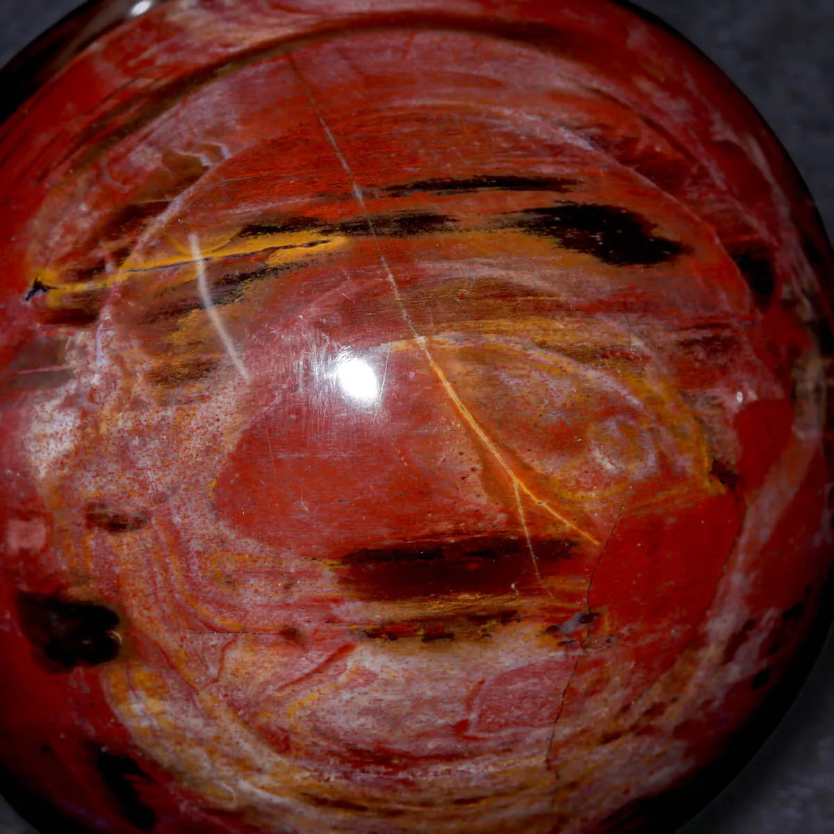Sfera in Legno Fossile del Madagascar.