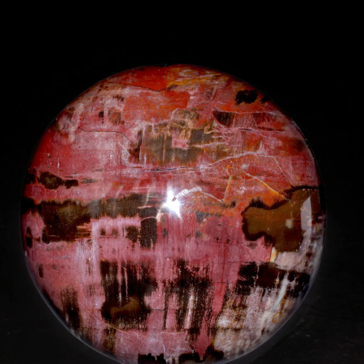 Sfera in Legno Fossile del Madagascar.