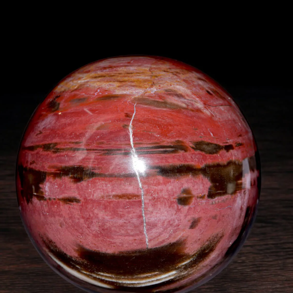 Sfera in Legno Fossile del Madagascar.