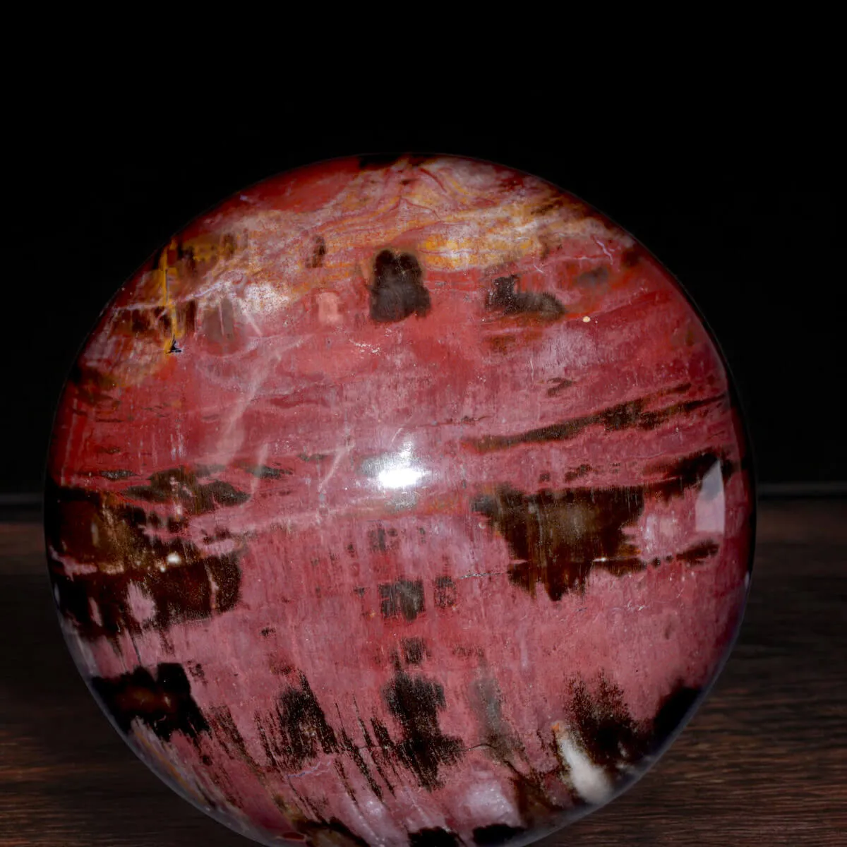 Sfera in Legno Fossile del Madagascar.