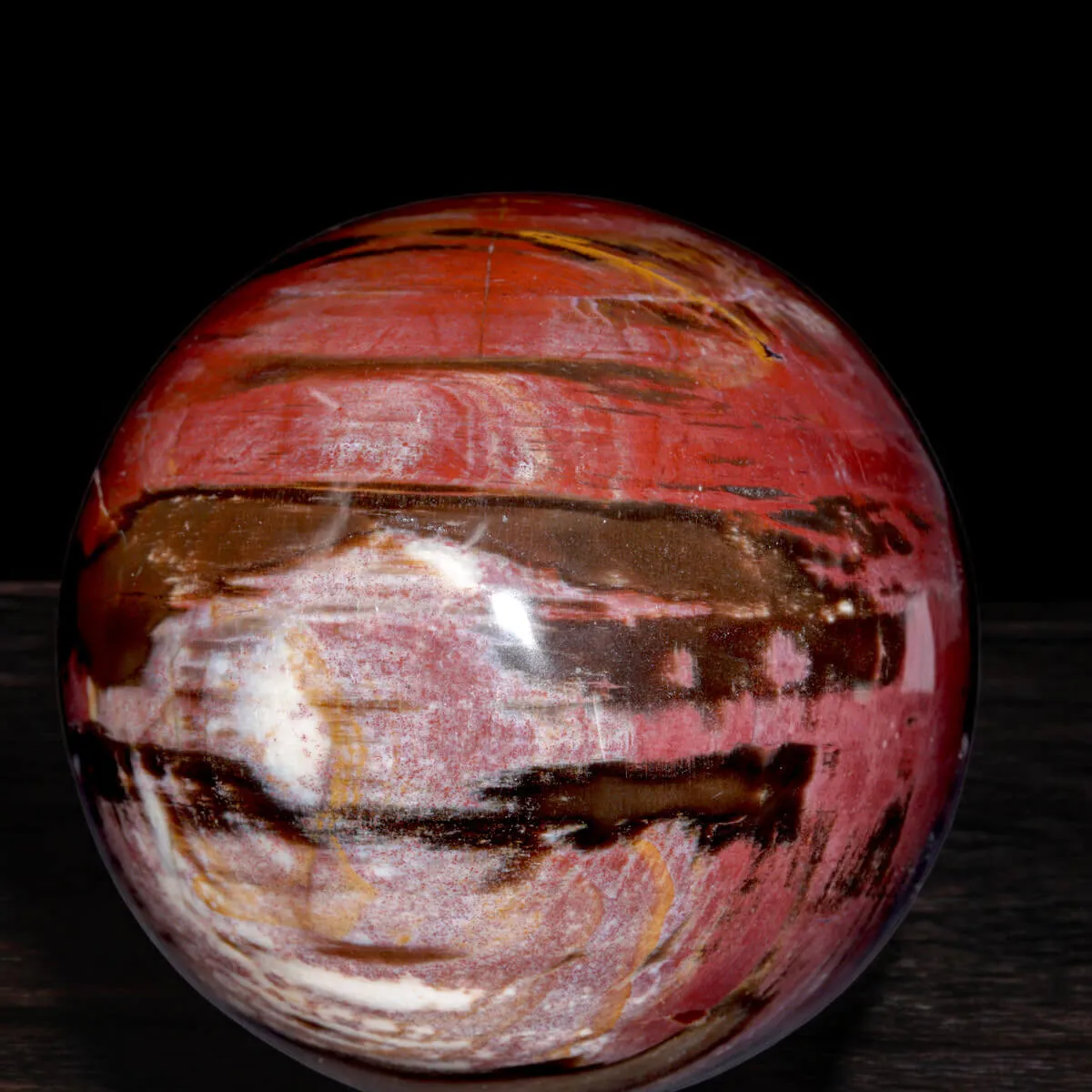 Sfera in Legno Fossile del Madagascar.