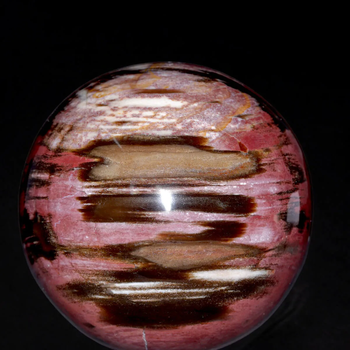 Sfera in Legno Fossile del Madagascar.
