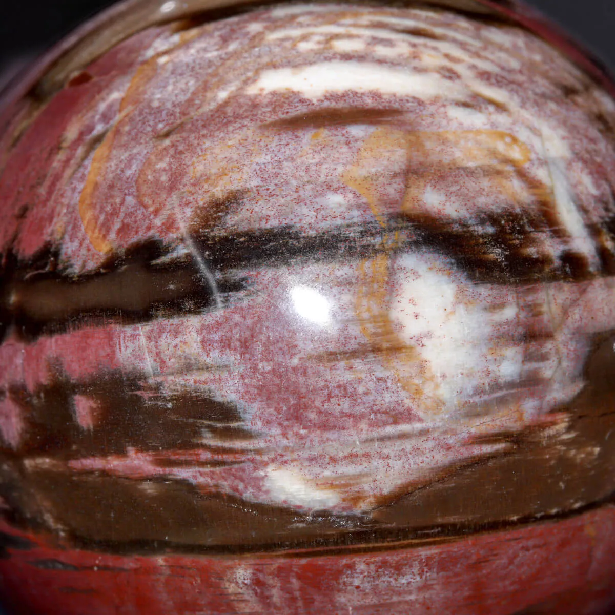 Sfera in Legno Fossile del Madagascar.