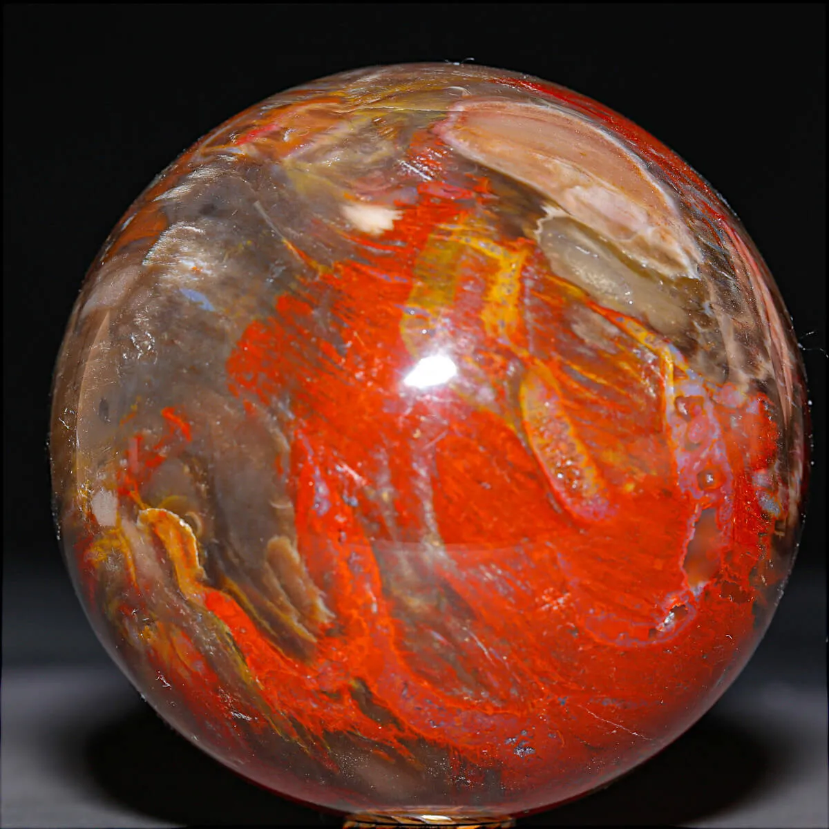 Sfera in Legno Fossile Policromo del Madagascar.