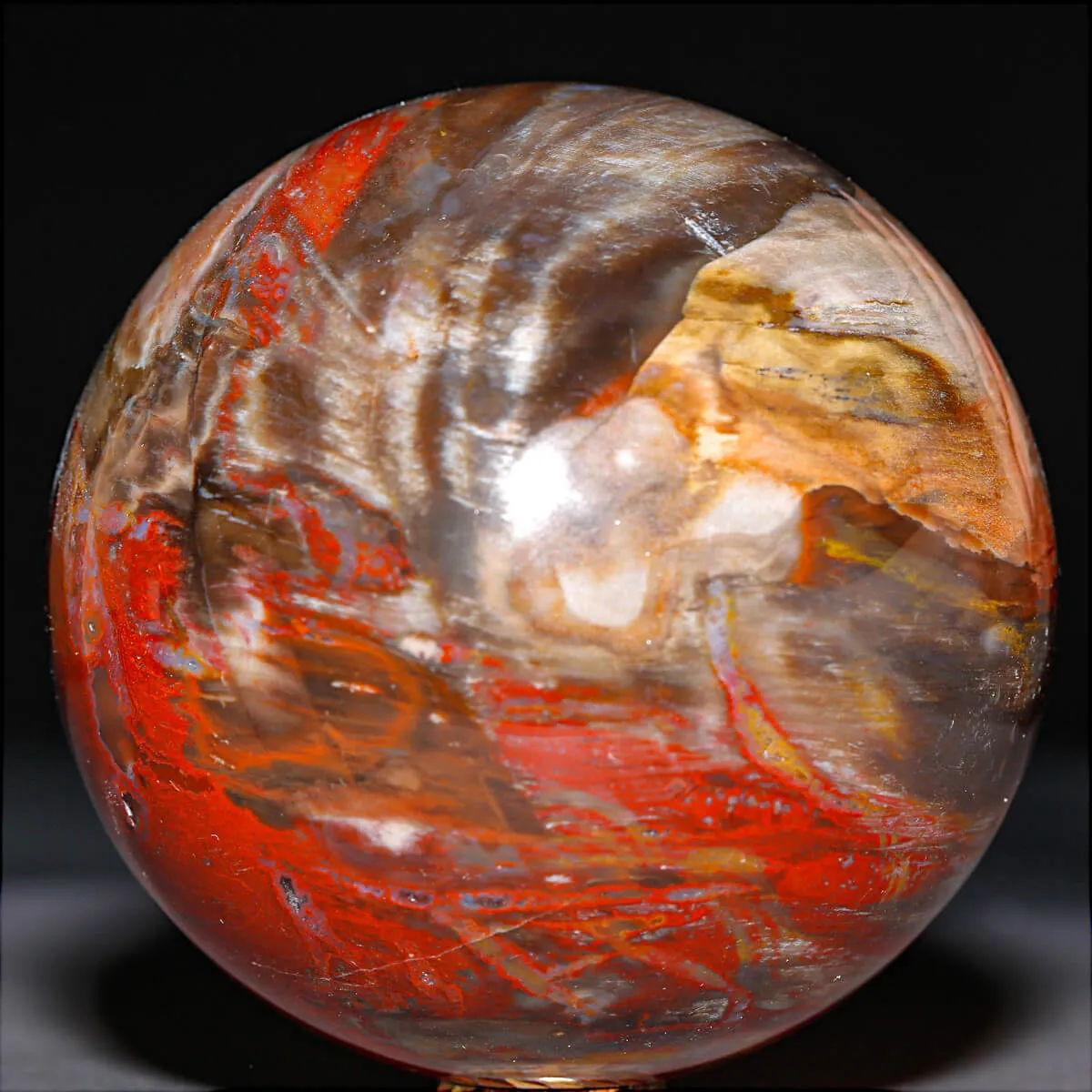 Sfera in Legno Fossile Policromo del Madagascar.