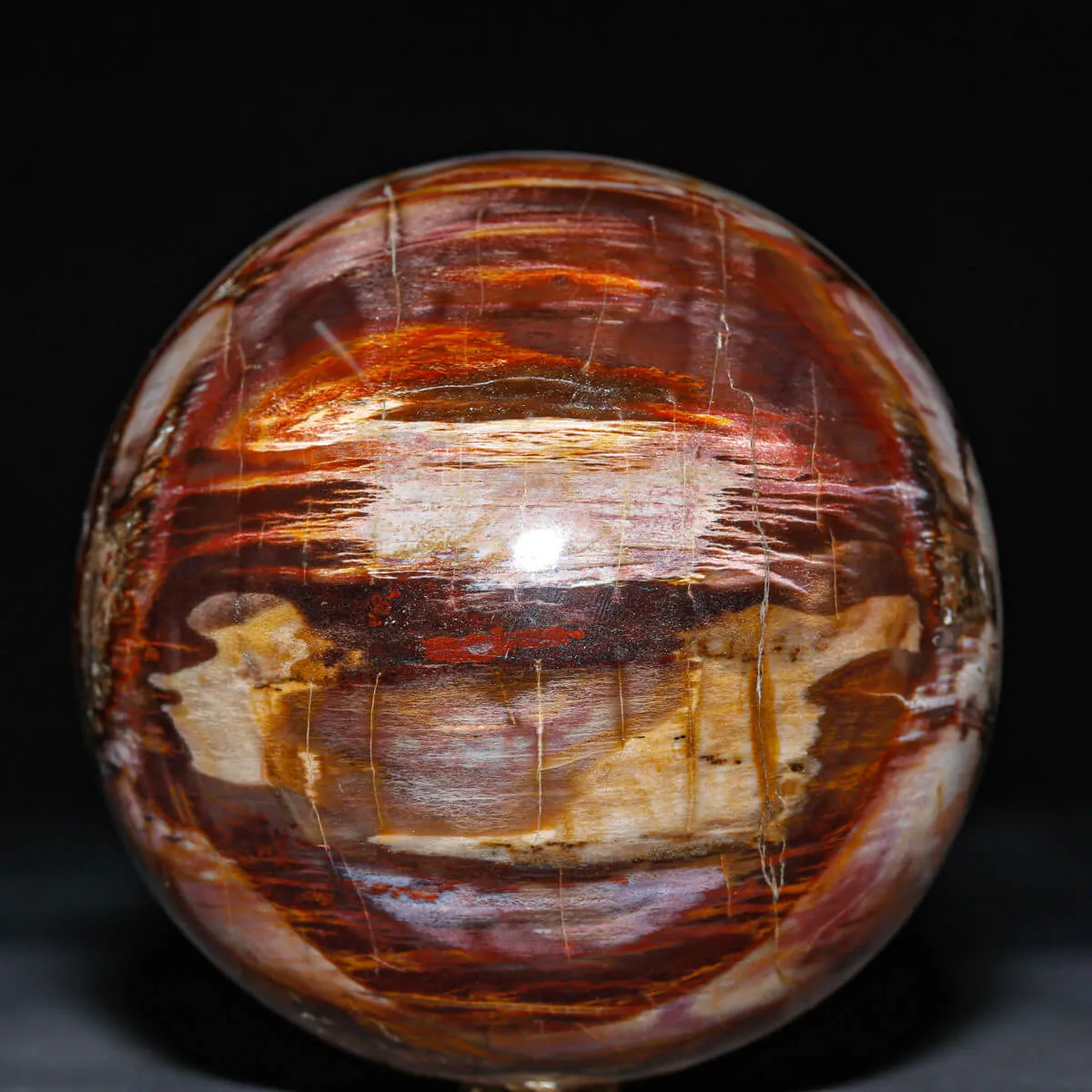 Sfera in Legno Fossile Policromo del Madagascar.