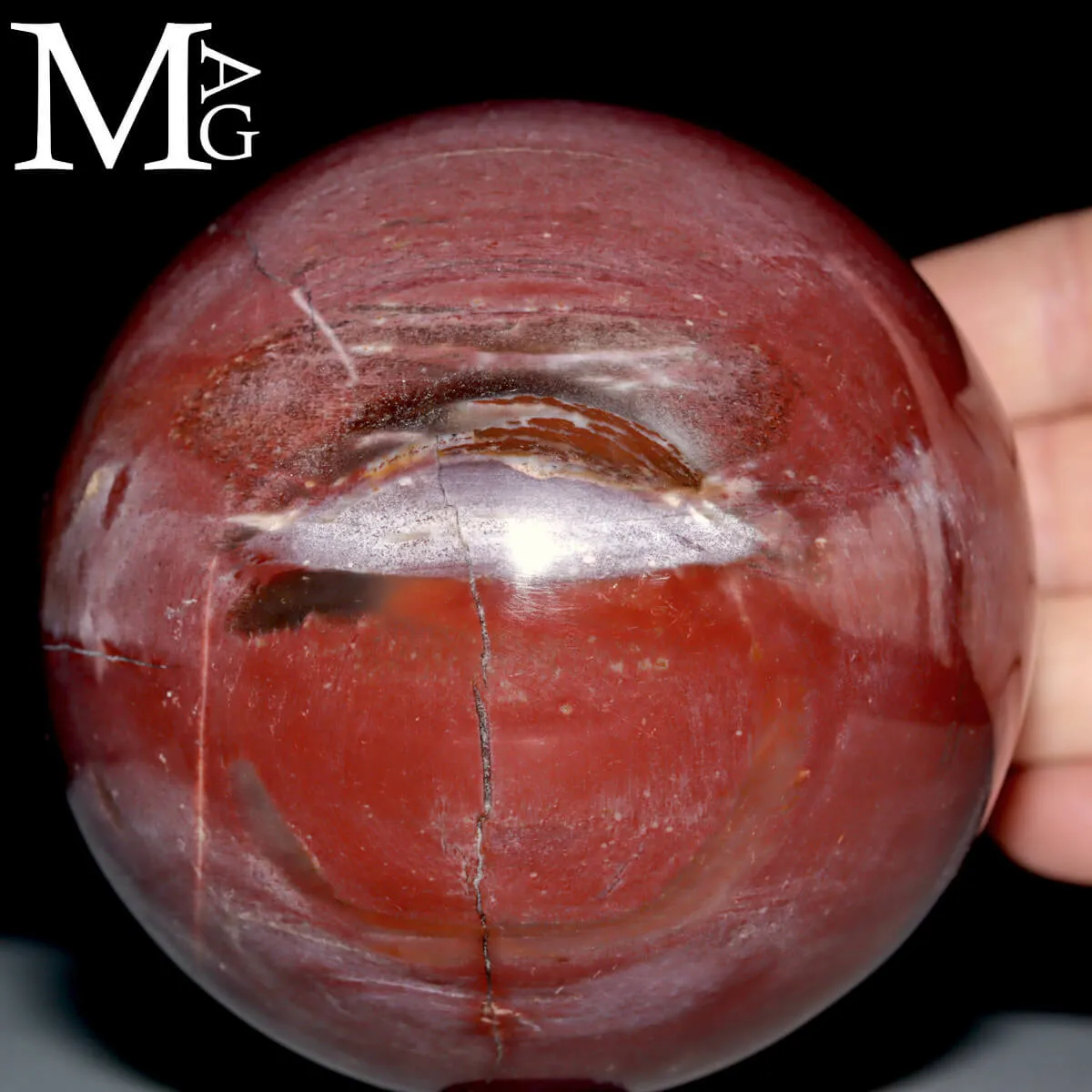 Sfera in Legno Fossile – Madagascar
