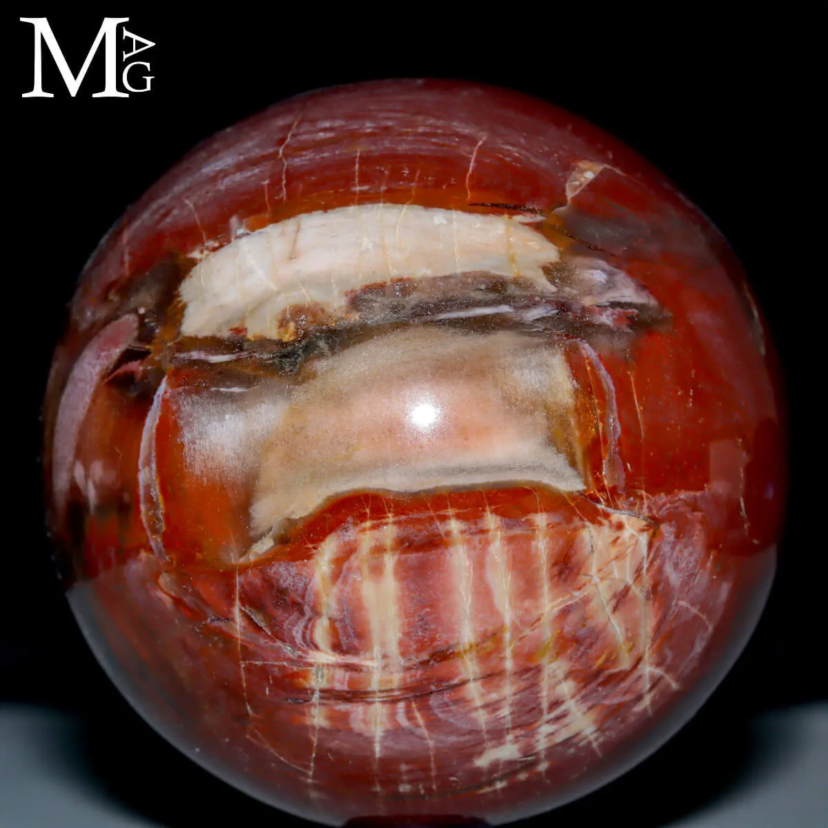 Sfera in Legno Fossile – Madagascar