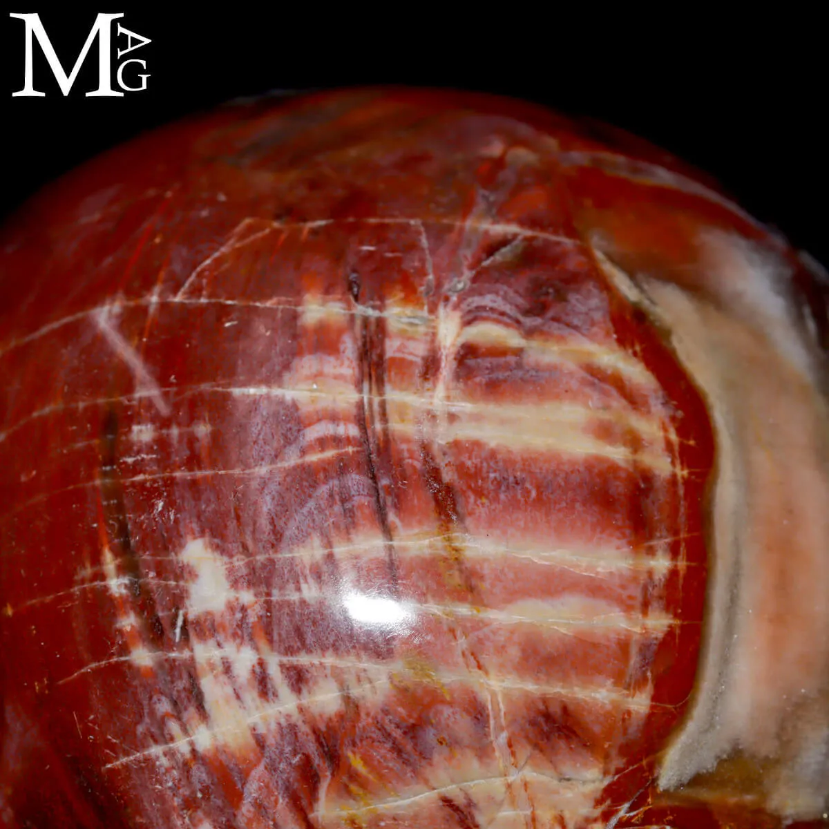 Sfera in Legno Fossile – Madagascar