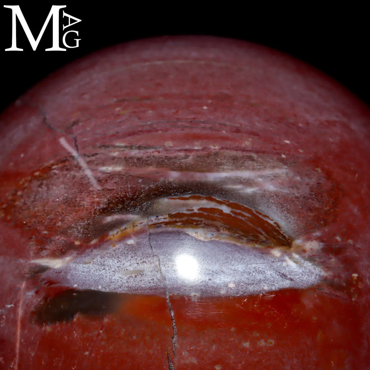 Sfera in Legno Fossile – Madagascar