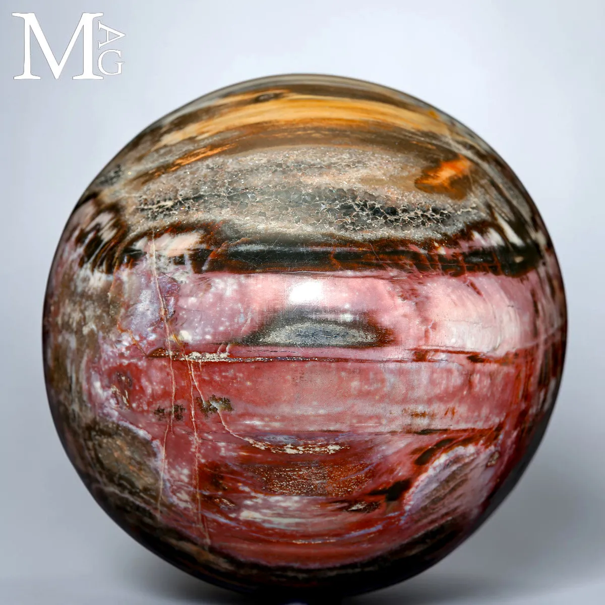 Sfera in Legno Fossile del Madagascar - Triassico