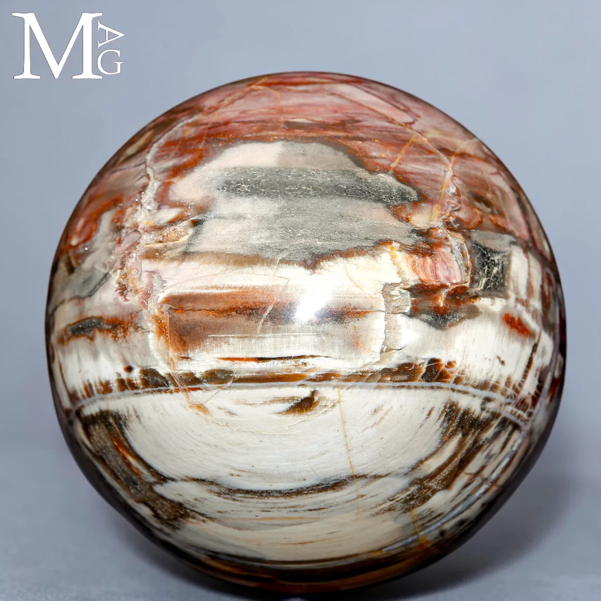 Sfera in Legno Fossile del Madagascar - Triassico