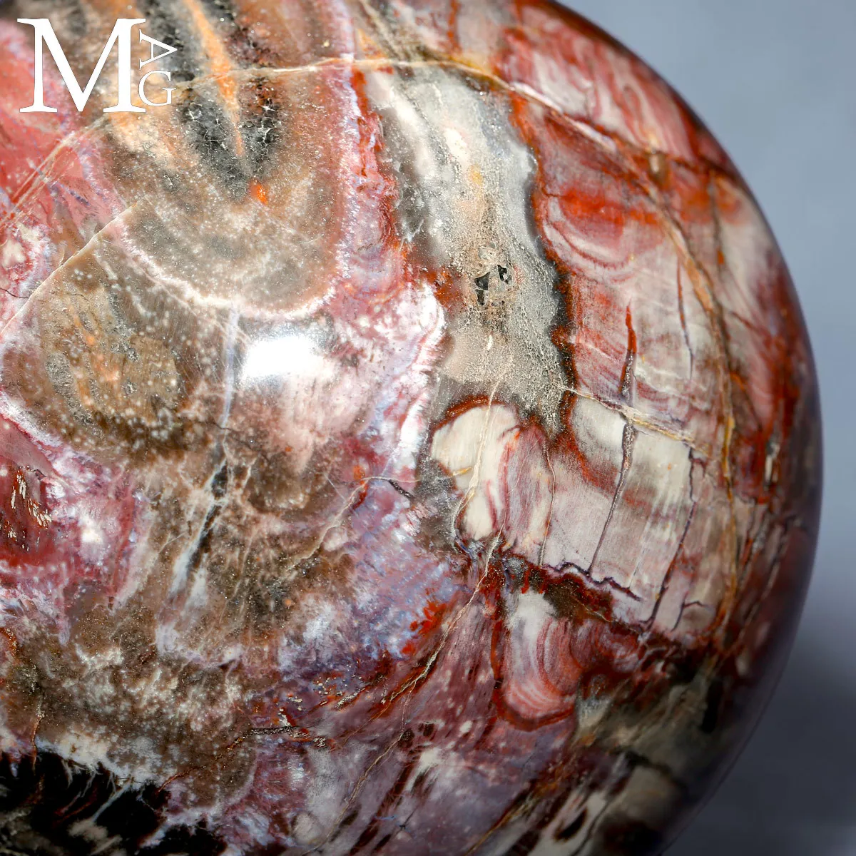 Sfera in Legno Fossile del Madagascar - Triassico