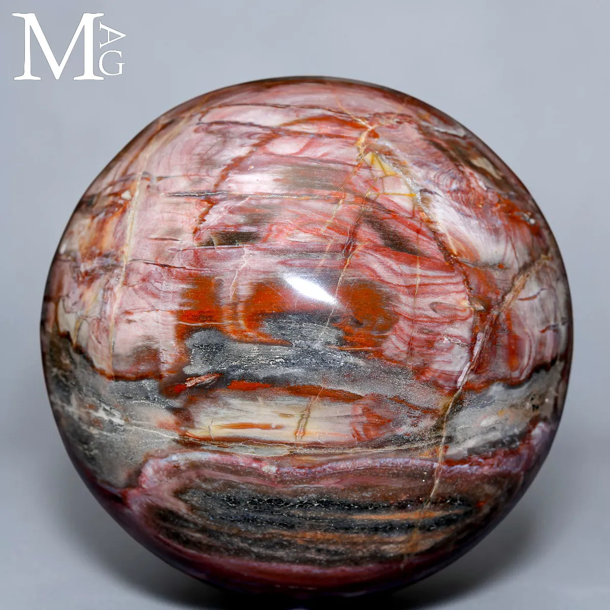 Sfera in Legno Fossile del Madagascar - Triassico