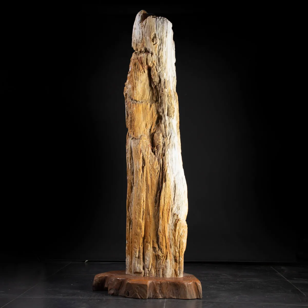 Un Interessante tronco di legno fossile.