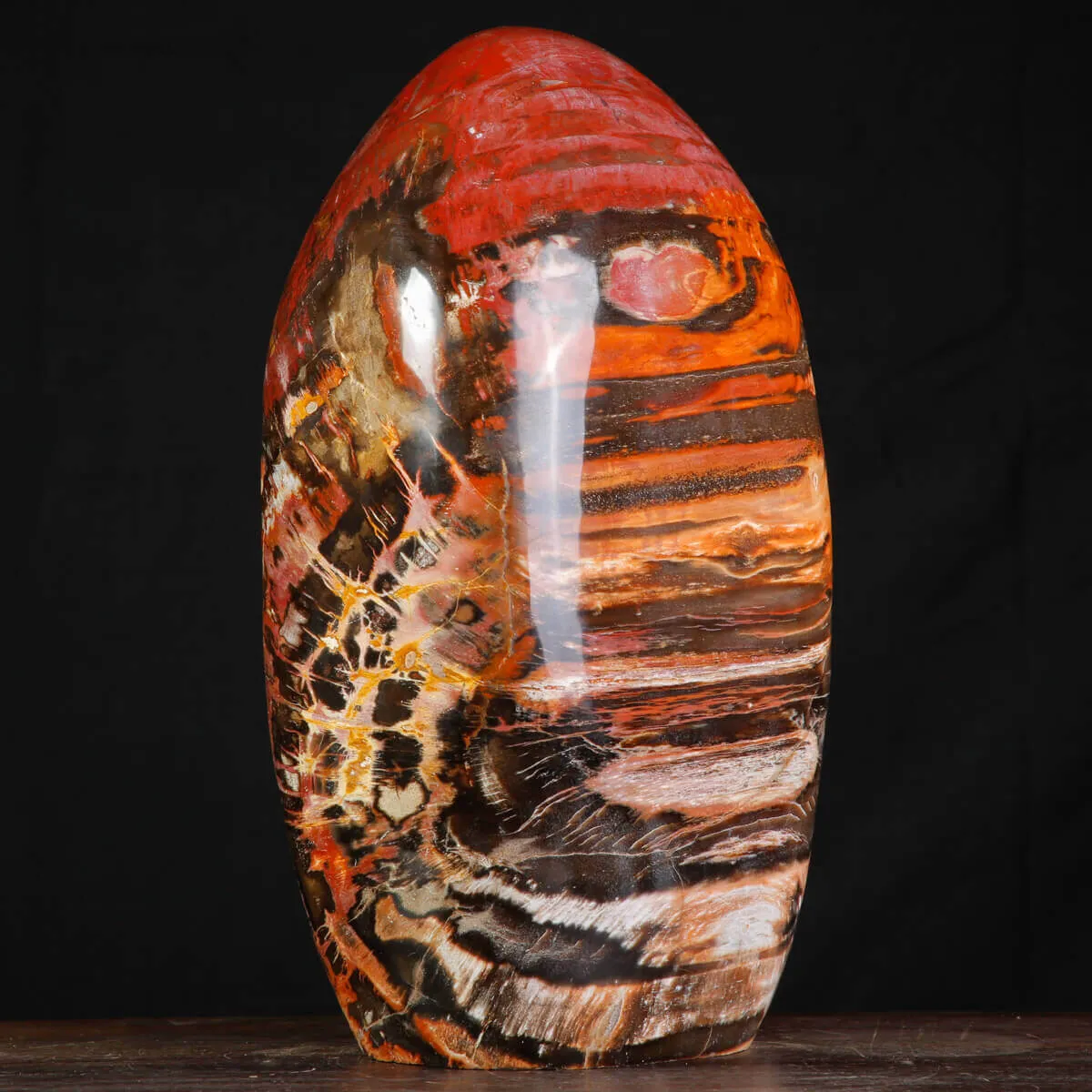 Legno Fossile del Madagascar – Testimonianza di un'era perduta.