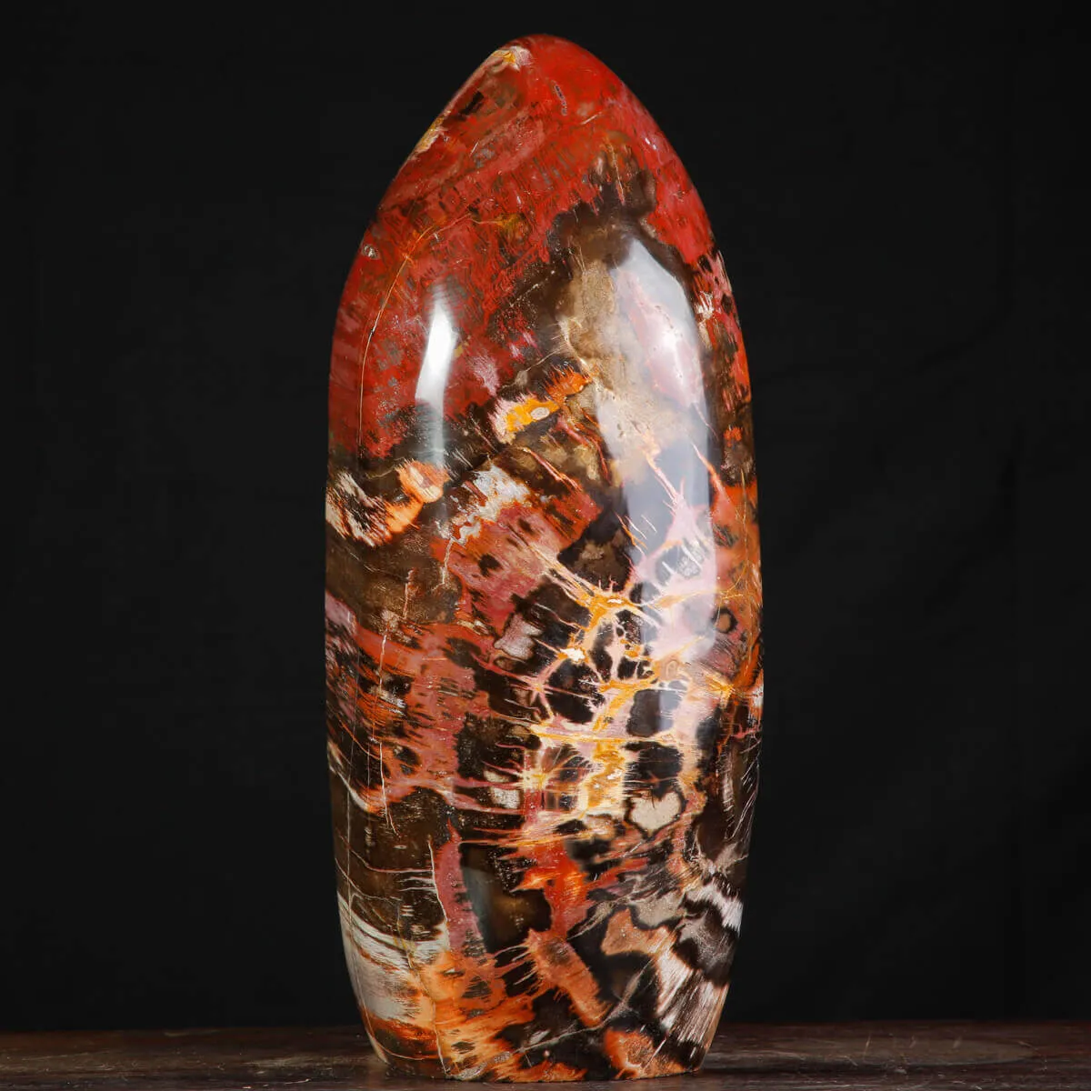 Legno Fossile del Madagascar – Testimonianza di un'era perduta.