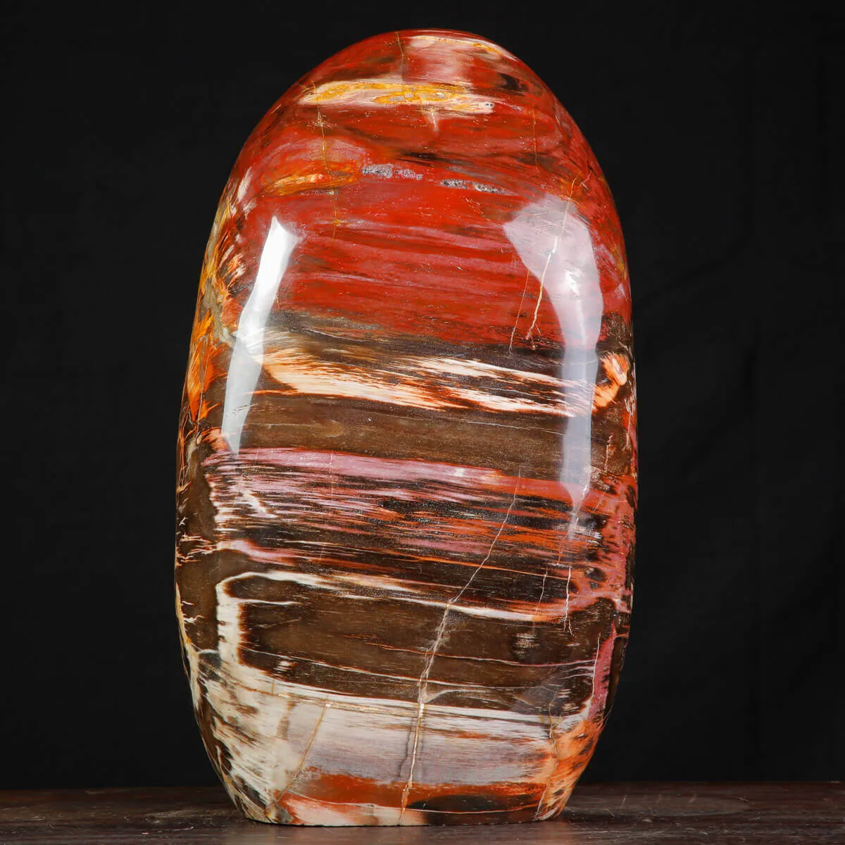 Legno Fossile del Madagascar – Testimonianza di un'era perduta.