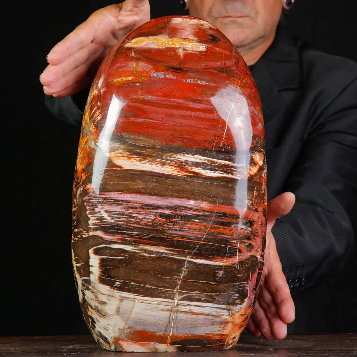 Legno Fossile del Madagascar – Testimonianza di un'era perduta.