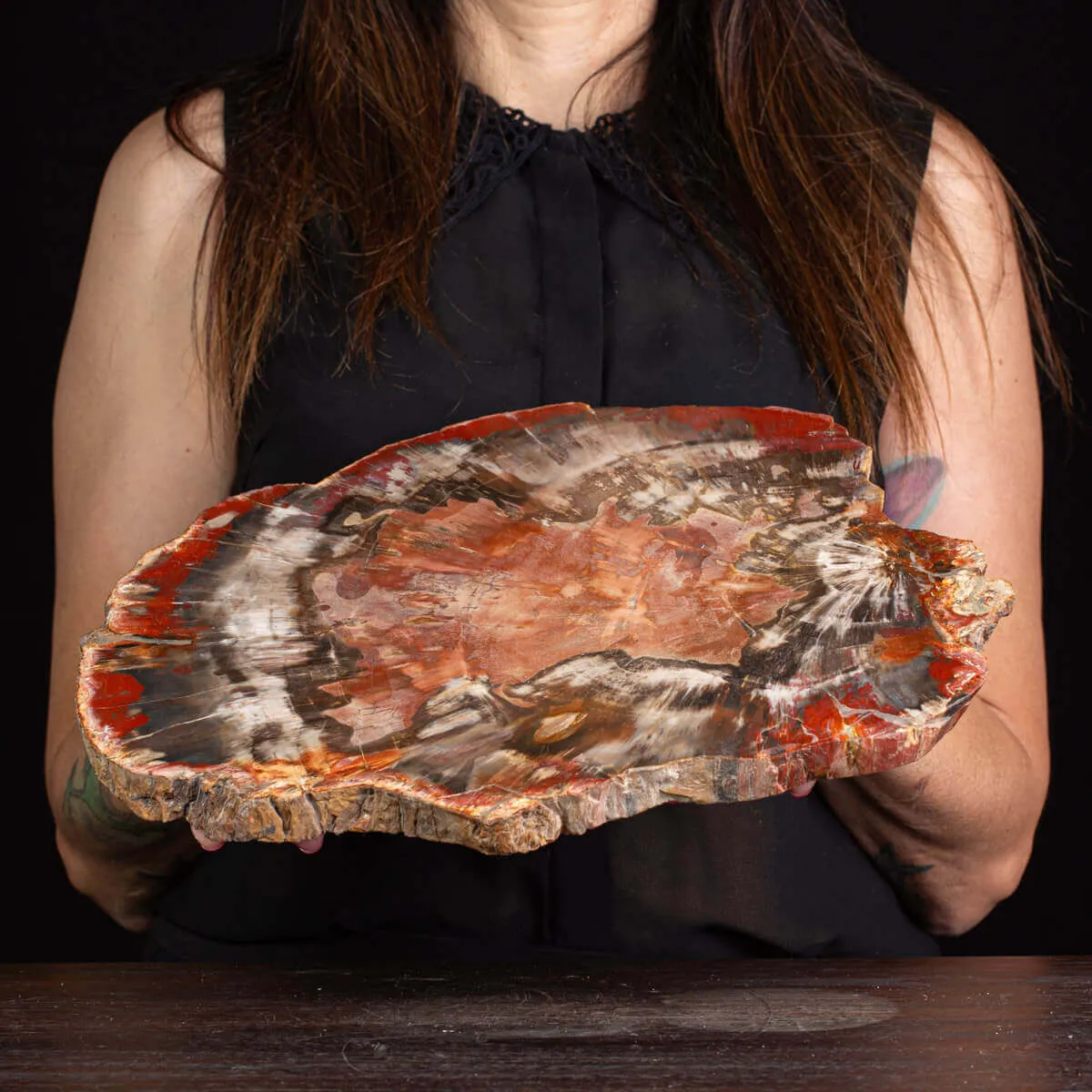 Un’Opera d’Arte Naturale: Legno Fossile.