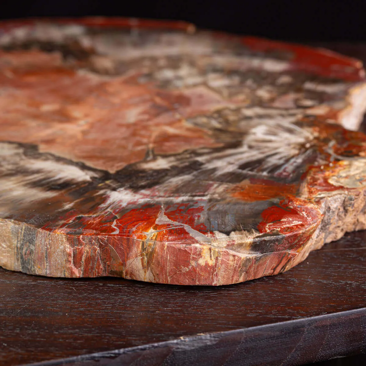 Un’Opera d’Arte Naturale: Legno Fossile.