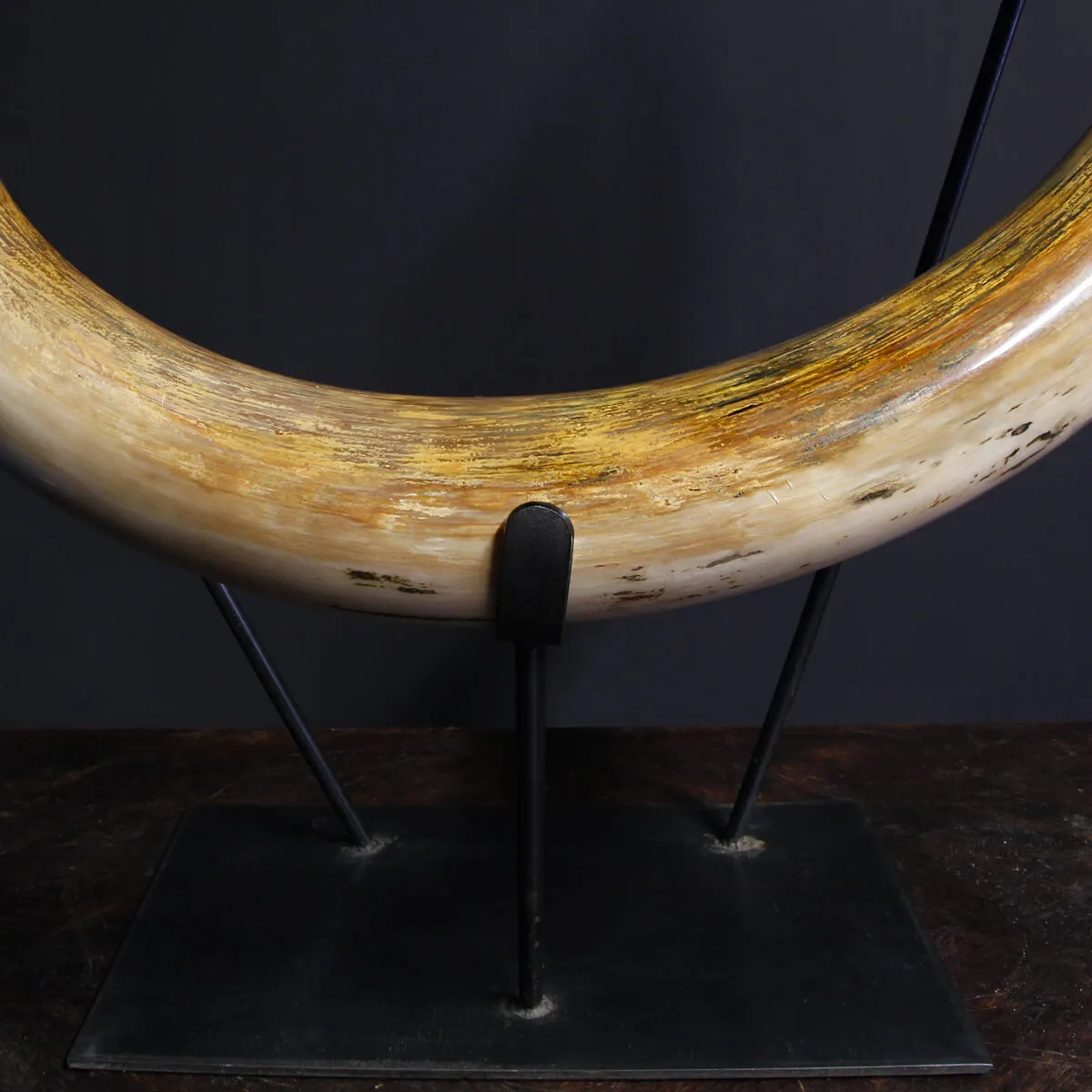 Zanna Avorio Mammut