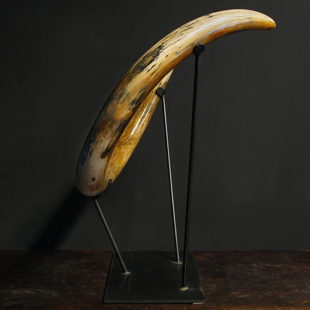 Zanna Avorio Mammut