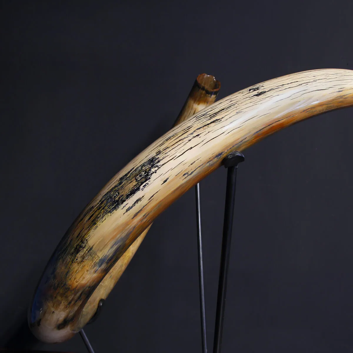 Zanna Avorio Mammut