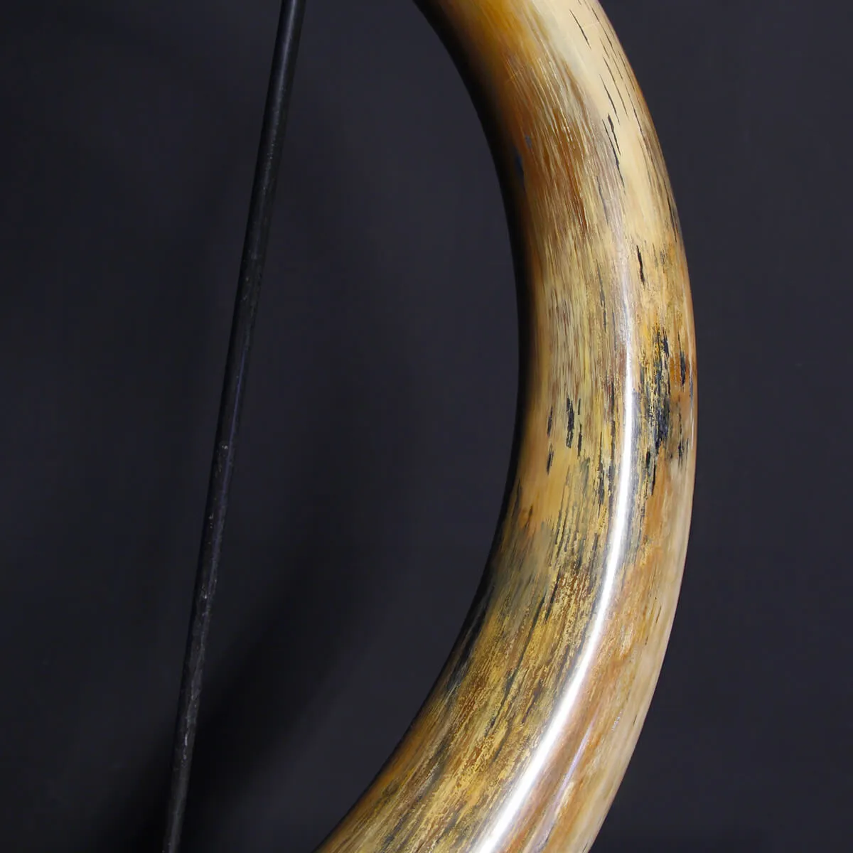 Zanna Avorio Mammut