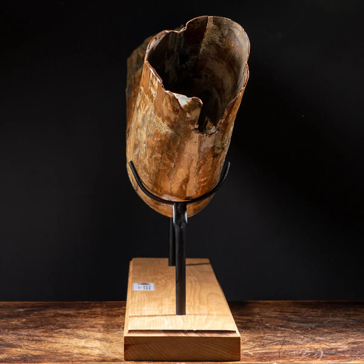 Zanna Avorio Mammut