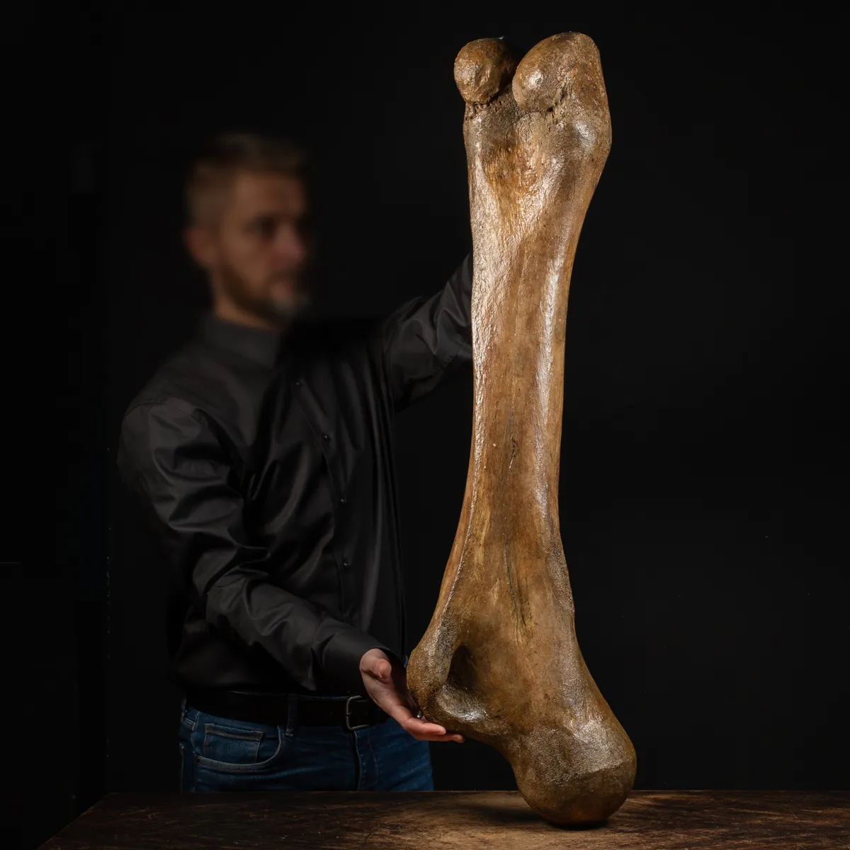 Femore di Mammut