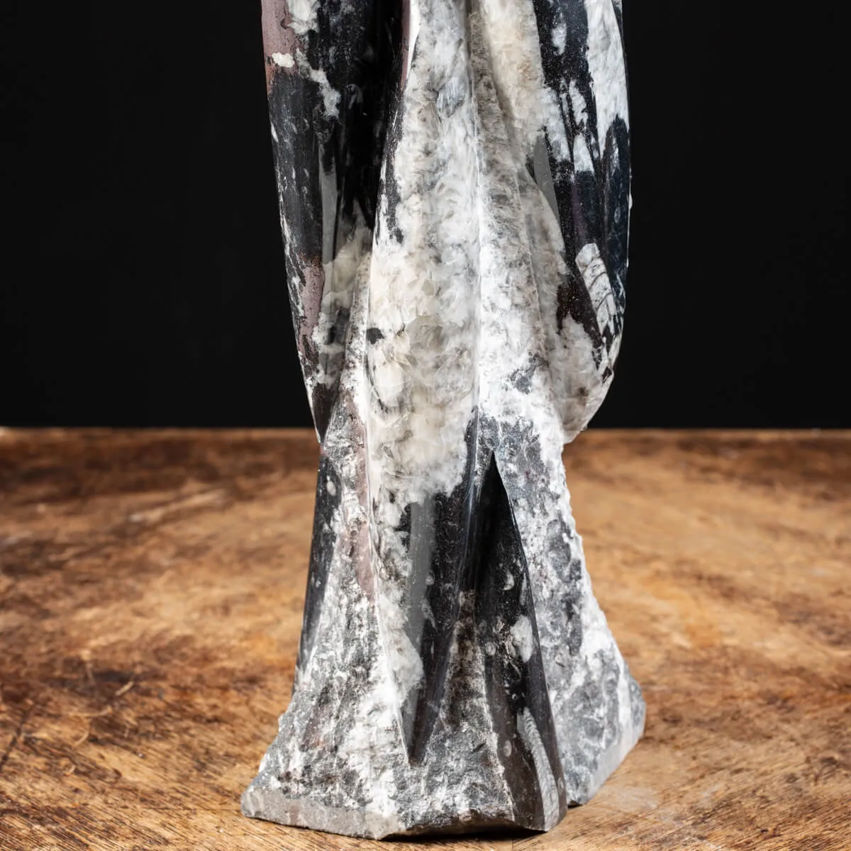 Torre con Orthoceras Fossili