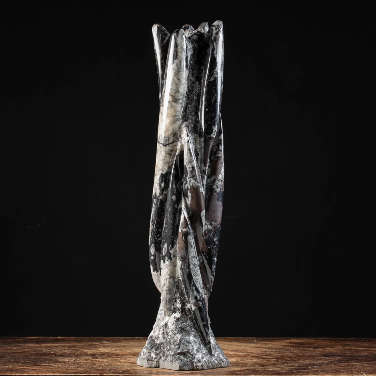 Torre con Orthoceras Fossili