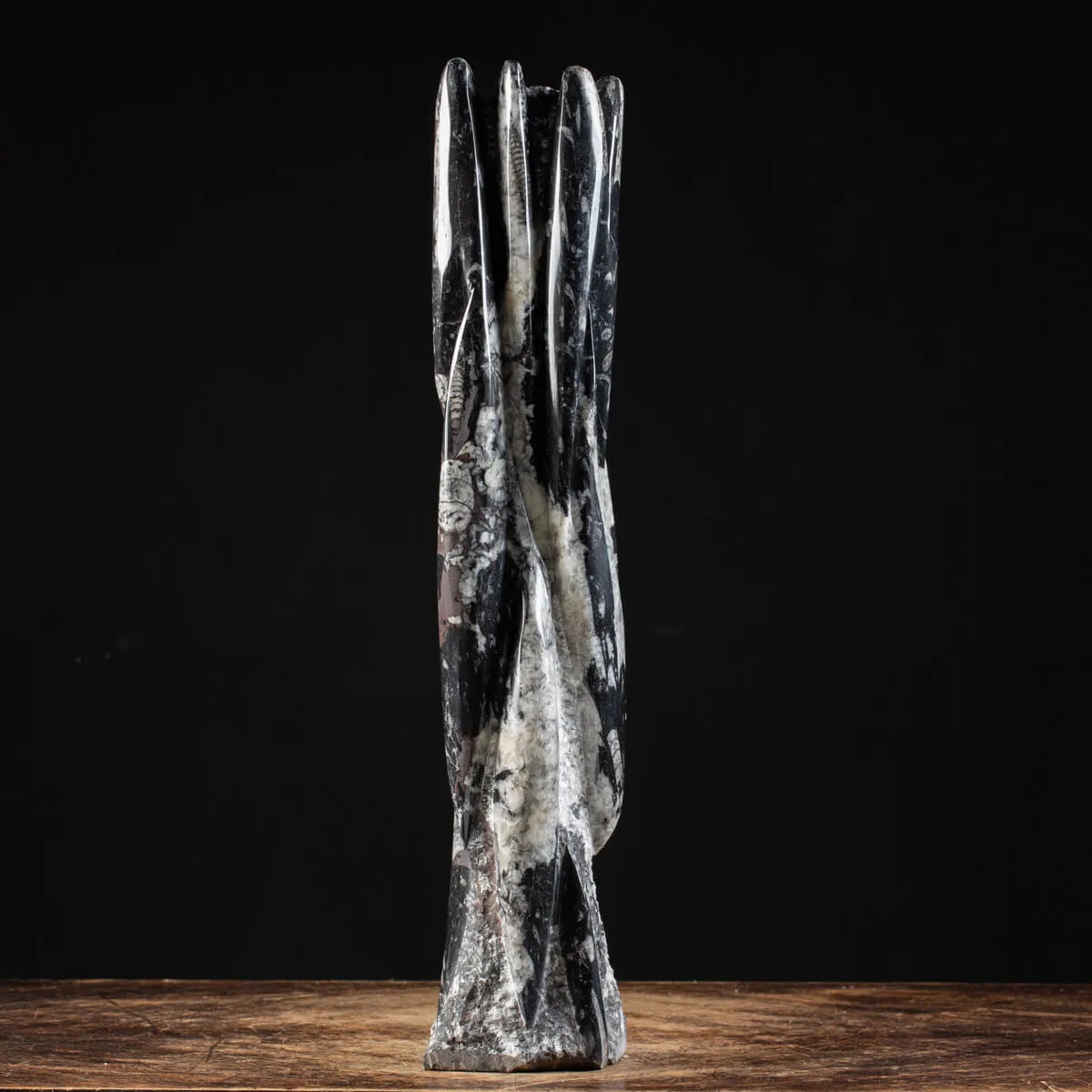 Torre con Orthoceras Fossili