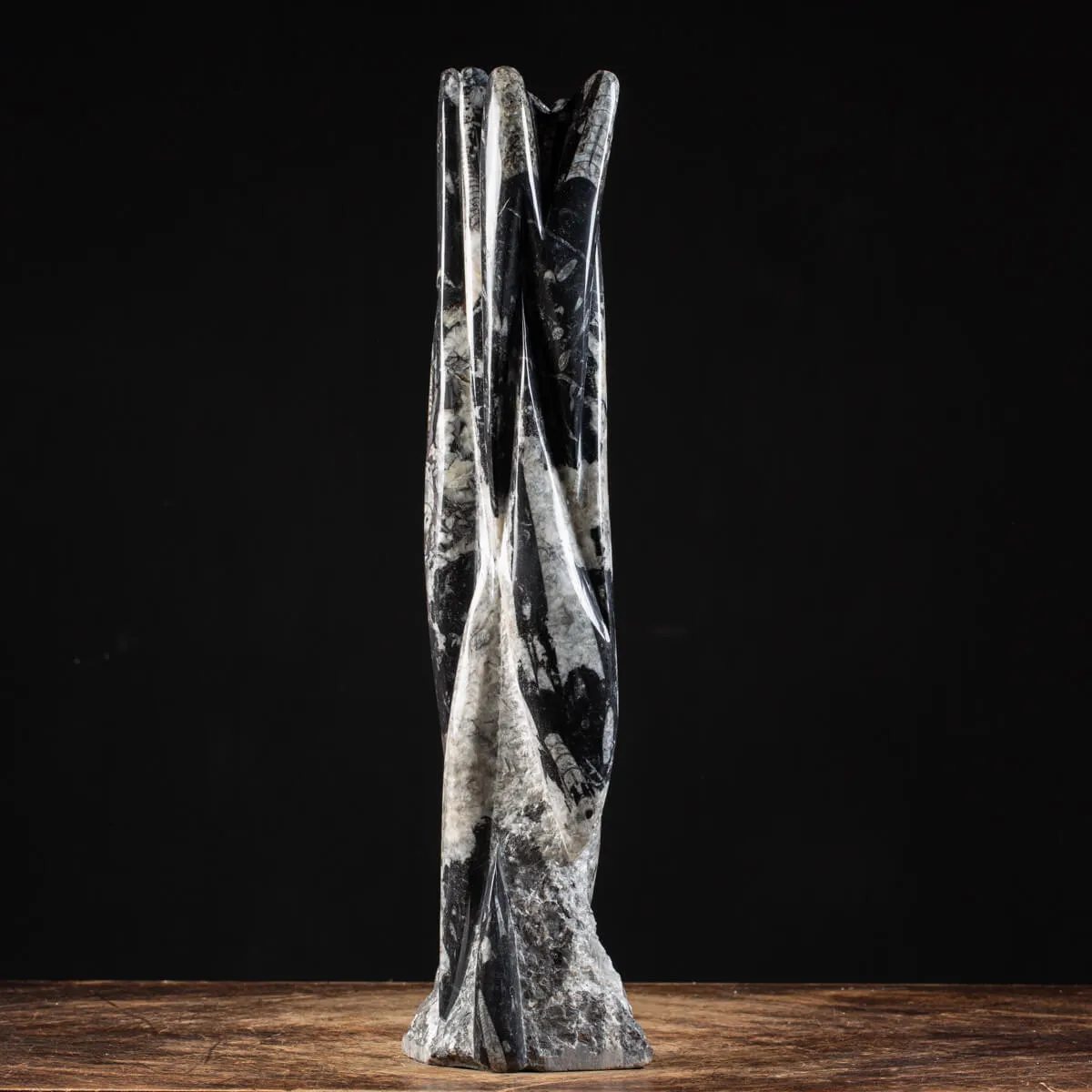 Torre con Orthoceras Fossili